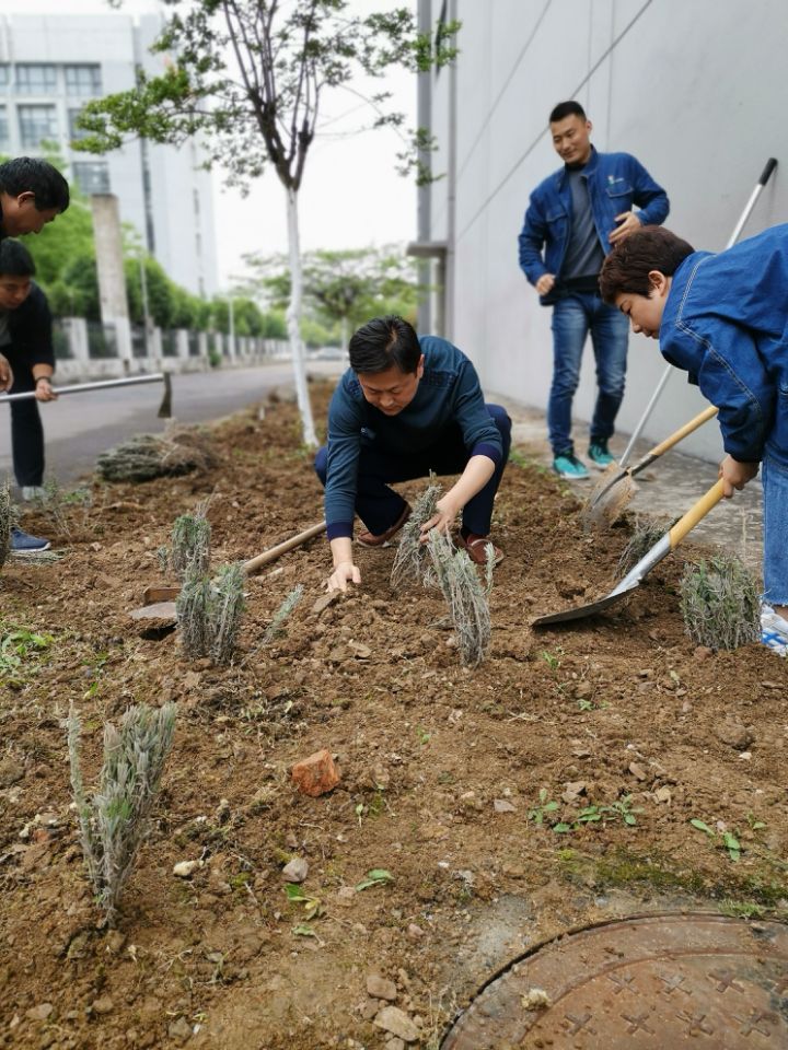 东升国际官网-钻营健全,你我一路成长
