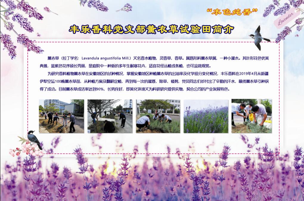 东升国际官网-钻营健全,你我一路成长