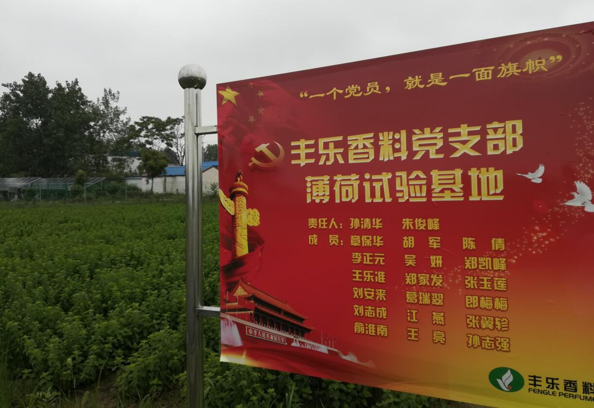 QQ截图20210218083442